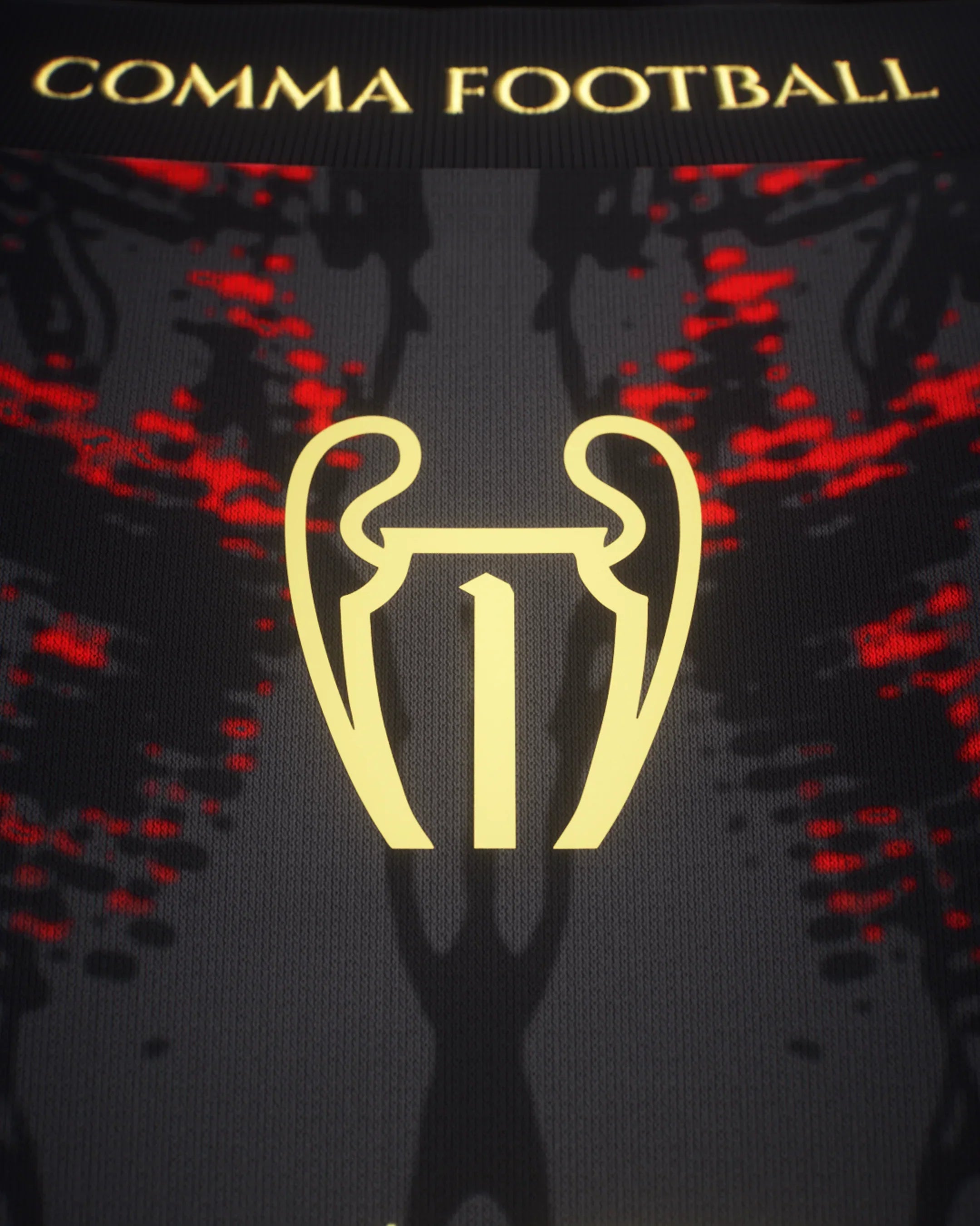 MAILLOT PARIS CONCEPT 2025